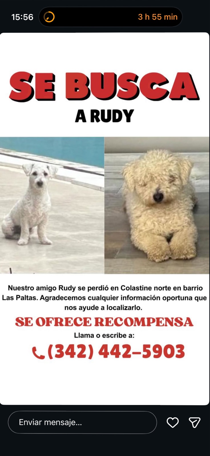 Se busca: Rudy, Blanco