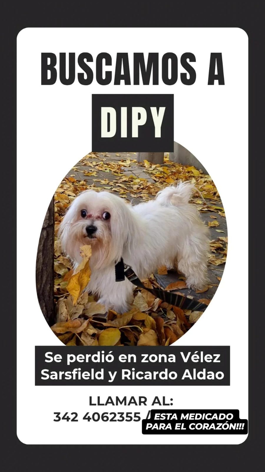 Se busca: Dipy, Blanco